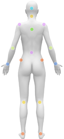 Female body back joints