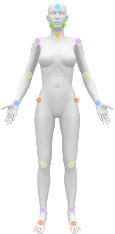 Female body front joints