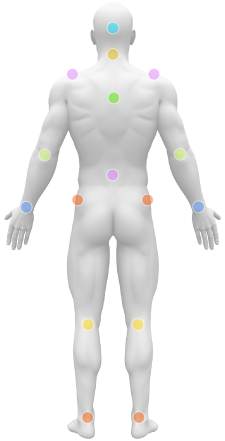 Male body back joints