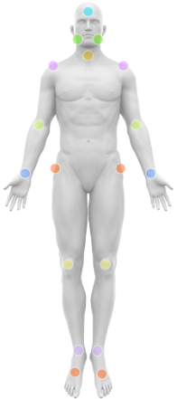 Male body front joints